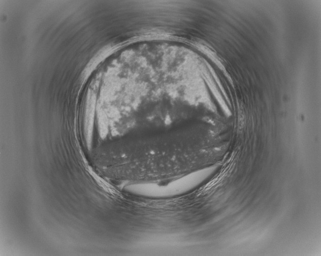 X0000071861245200607290149