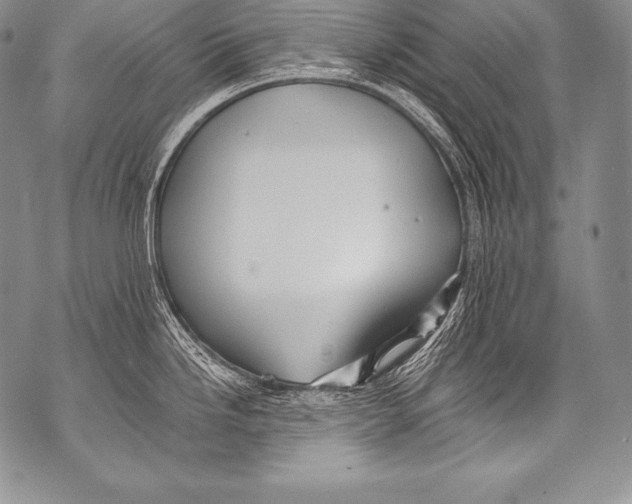 X0000071861246200607290149