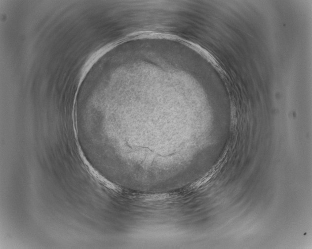 X0000071861247200607290149