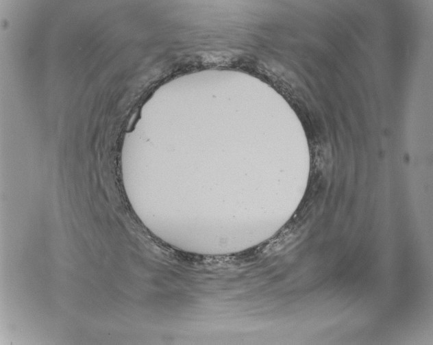 X0000071861249200607290149