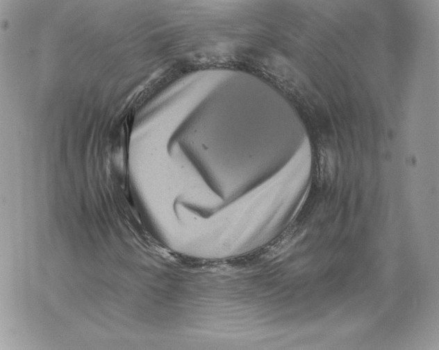 X0000071861250200607290149