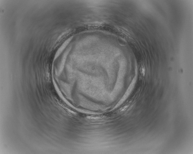 X0000071861252200607290148