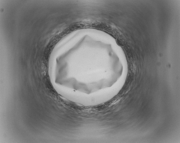 X0000071861253200607290148