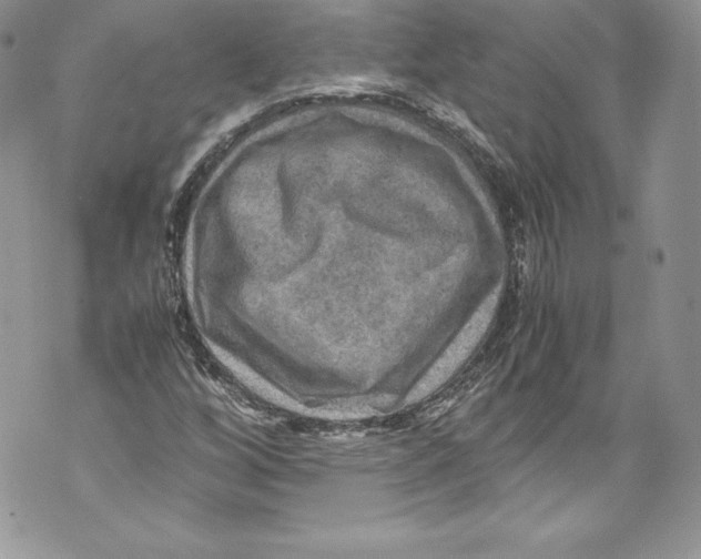 X0000071861256200607290148