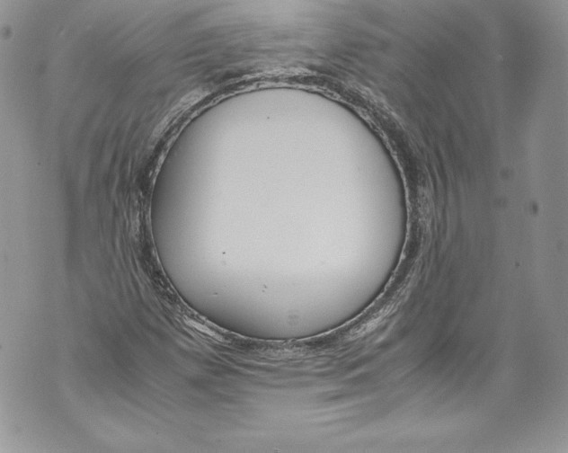 X0000071861257200607290148