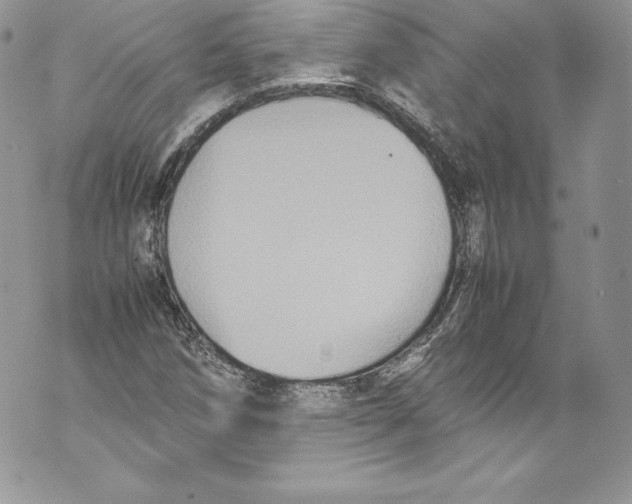 X0000071861258200607290148