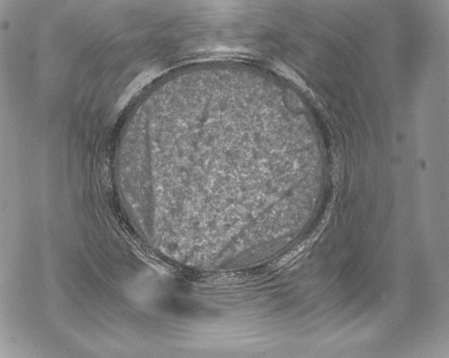 X0000071861259200607290148