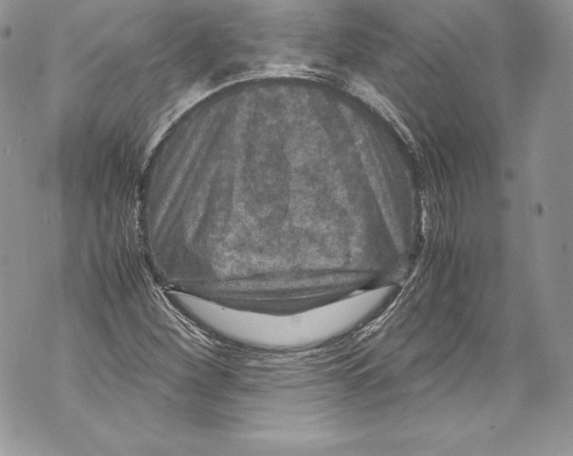 X0000071861260200607290148