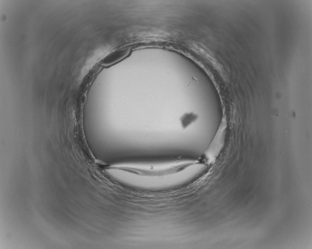 X0000071861261200607290148