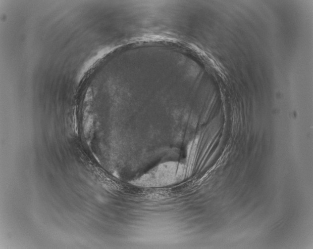 X0000071861262200607290148