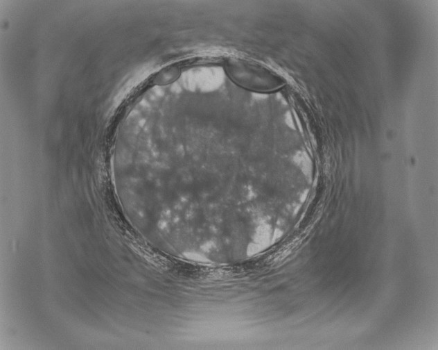 X0000071861263200607290148