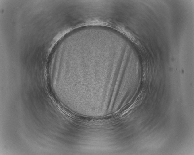 X0000071861264200607290148