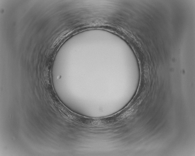 X0000071861265200607290148