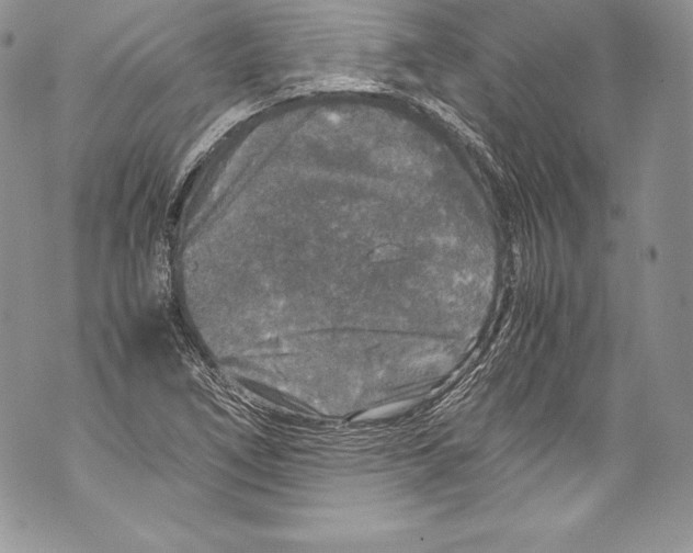 X0000071861266200607290148