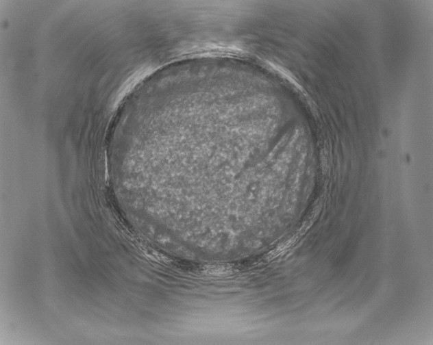 X0000071861267200607290148