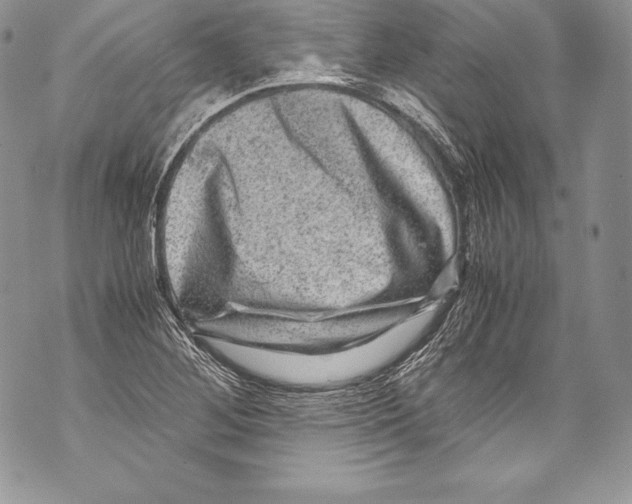 X0000071861268200607290148