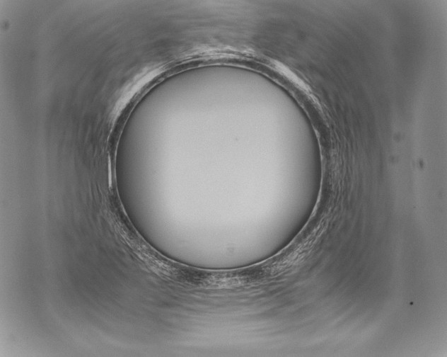 X0000071861269200607290148