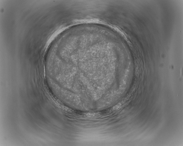 X0000071861271200607290148