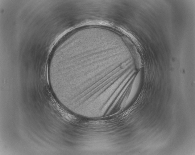 X0000071861272200607290148