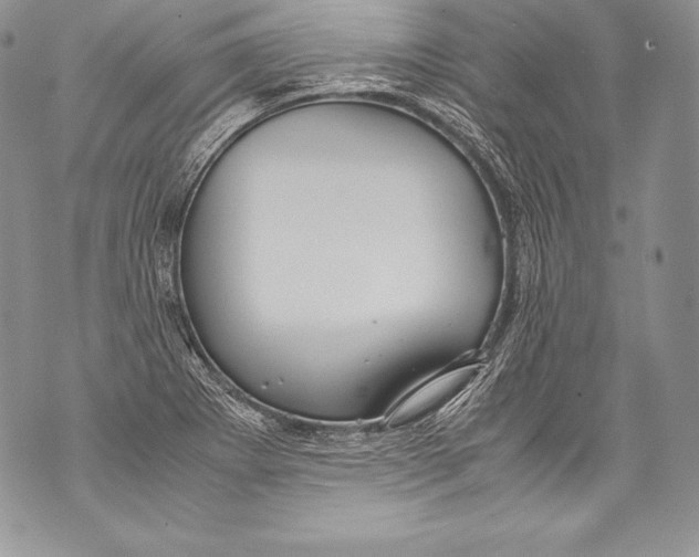 X0000071861273200607290148