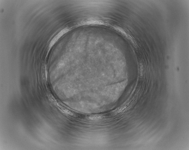 X0000071861274200607290148