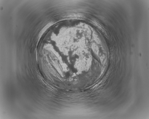 X0000071861275200607290148