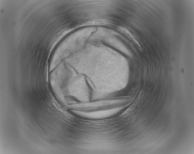 X0000071861276200607290148