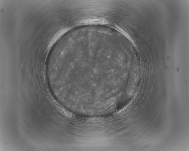 X0000071861277200607290148