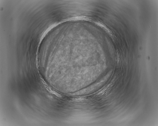 X0000071861278200607290148