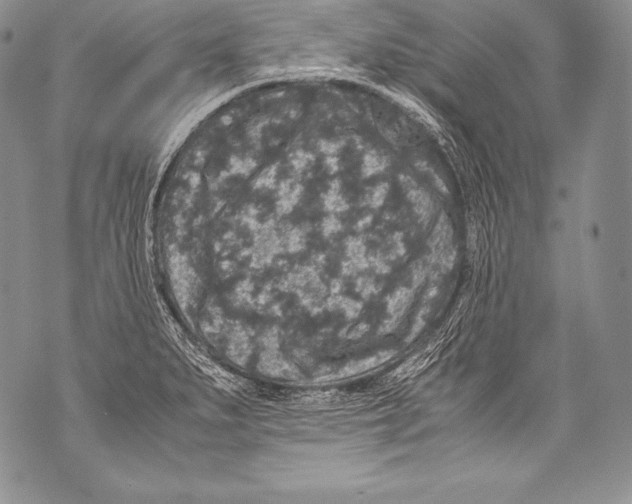 X0000071861279200607290148