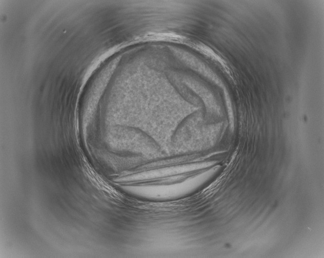 X0000071861280200607290148