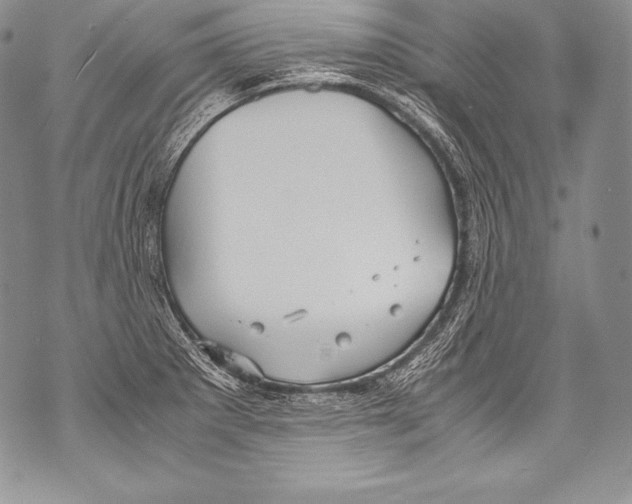 X0000071861281200607290148