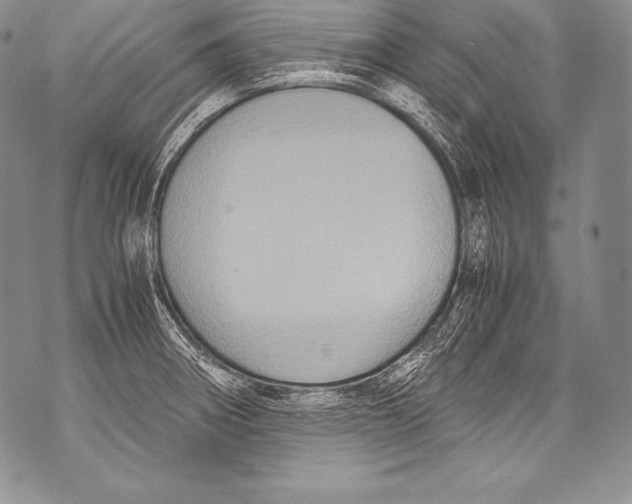 X0000071861282200607290148