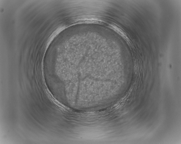 X0000071861283200607290148