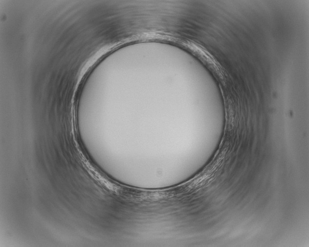 X0000071861286200607290148