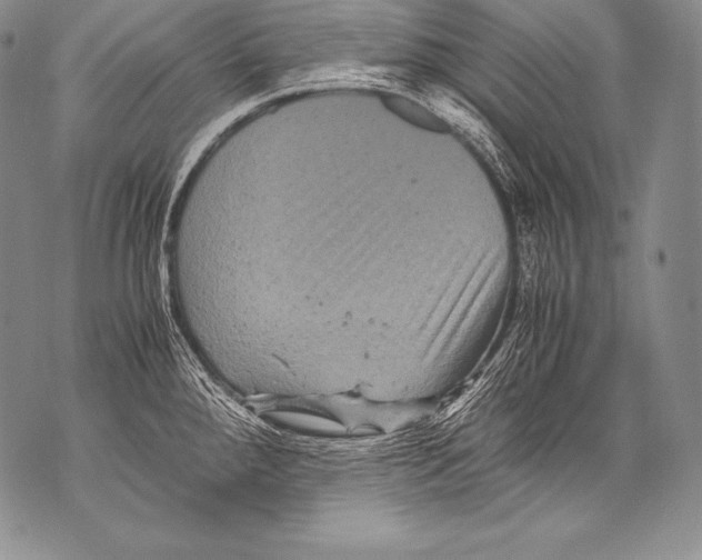 X0000071861288200607290148