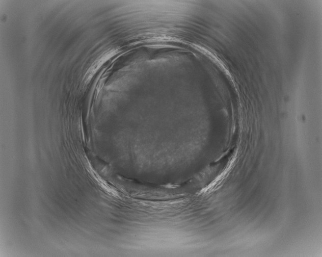 X0000071861289200607290148