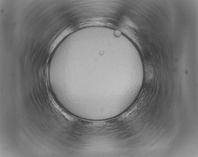 X0000071861290200607290148