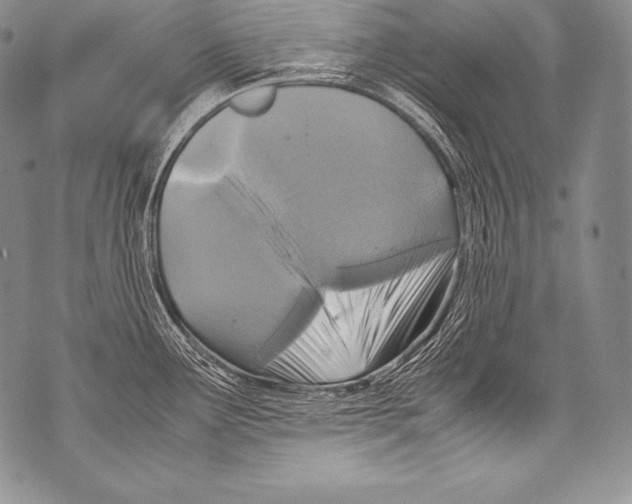 X0000071861291200607290148