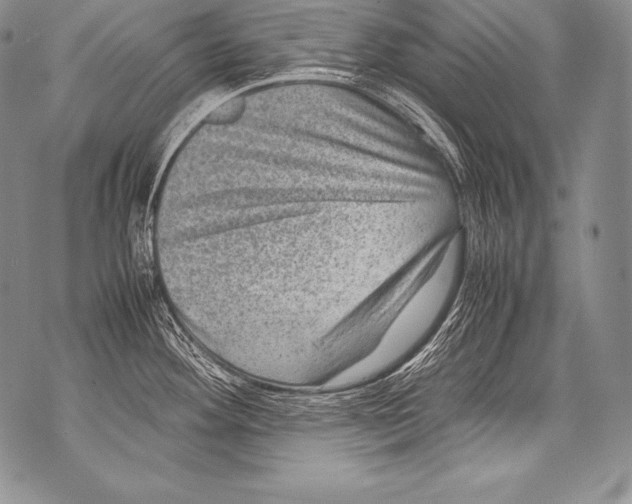 X0000071861292200607290148