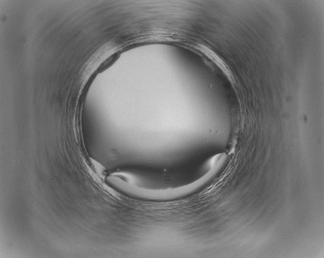 X0000071861293200607290148