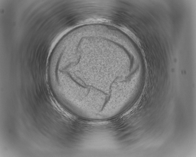 X0000071861296200607290148