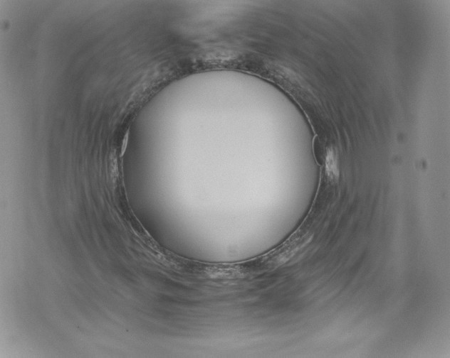 X0000071861299200607290147