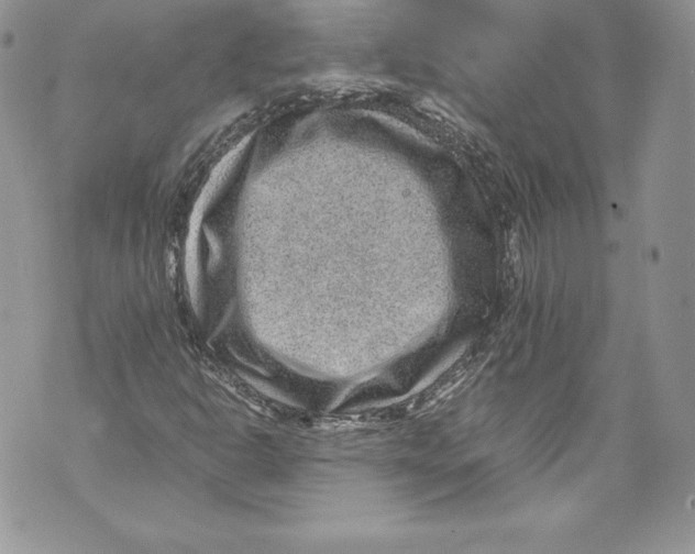 X0000071861302200607290147