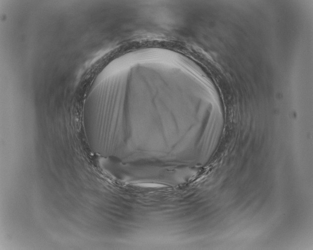 X0000071861303200607290147