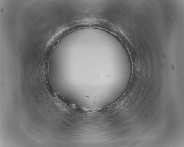 X0000071861304200607290147