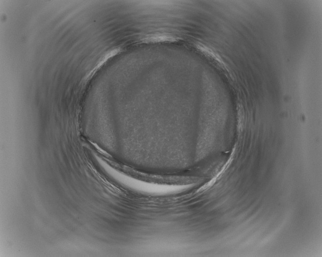 X0000071861305200607290147