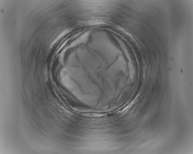 X0000071861306200607290147