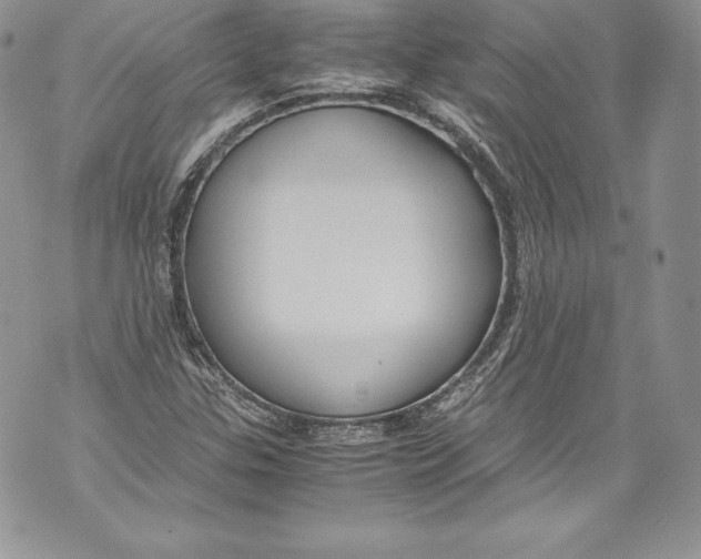 X0000071861307200607290147