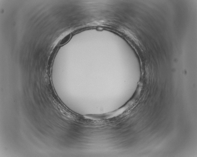 X0000071861308200607290147